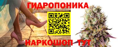 a pvp Тверь