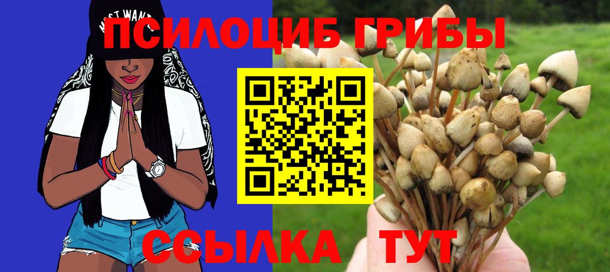 Галлюциногенные грибы мицелий  Вход с VPN  наркошоп  Галлюциногенные грибы Psilocybe  Можга 